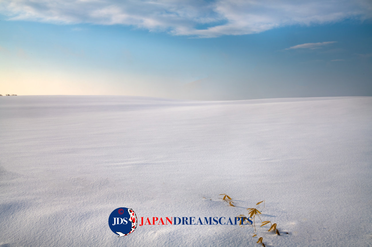 Discover Matsumoto Castle on a Hokkaido Photo Tour with JDS!