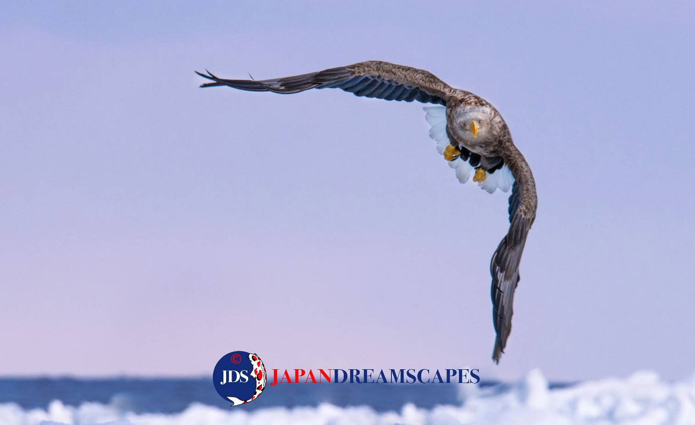 Discover Matsumoto Castle on a Hokkaido Photo Tour with JDS!