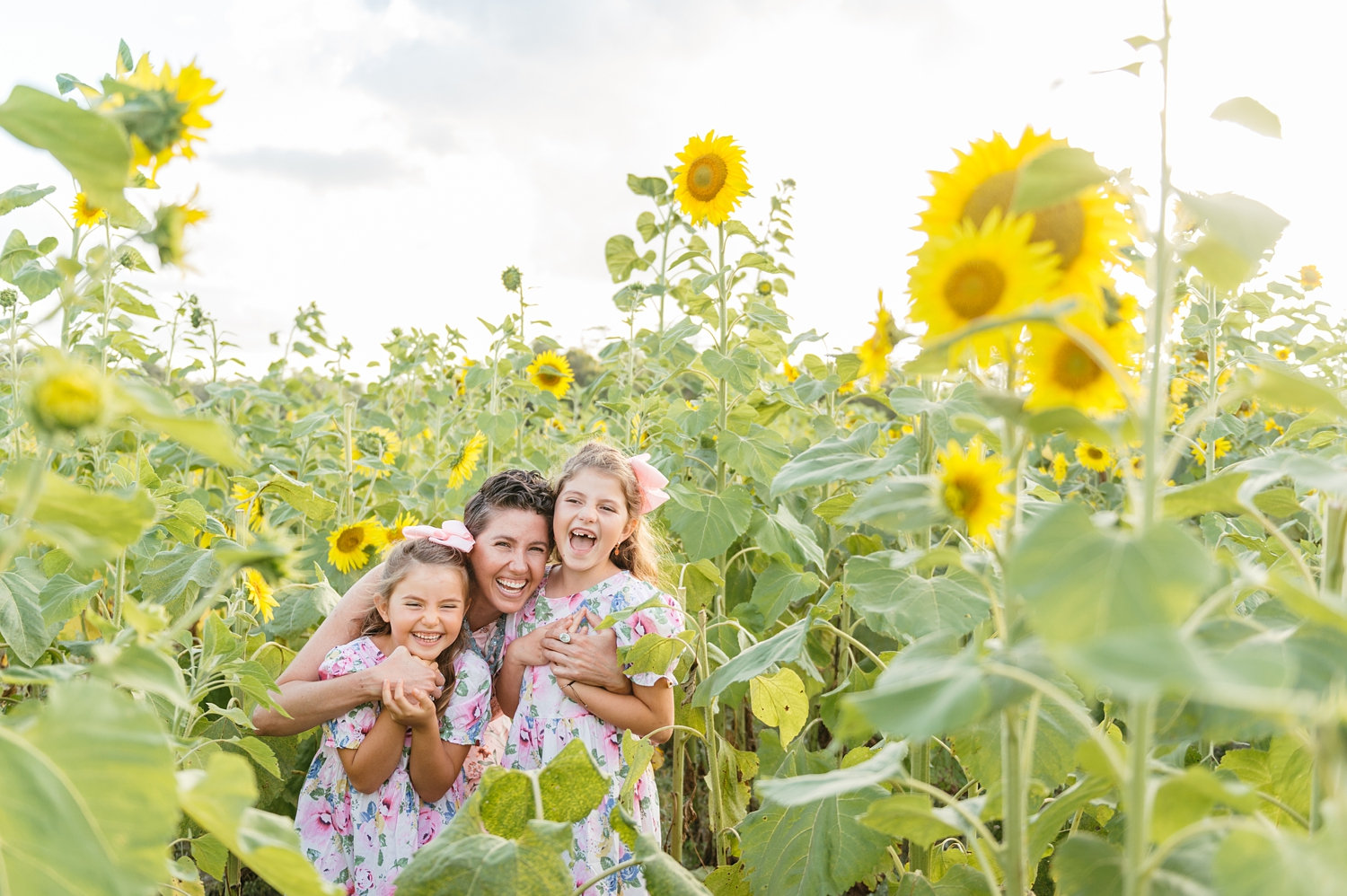 sunflower field portrait session, mom and daughters, sunflower fields, Rya Duncklee Photo