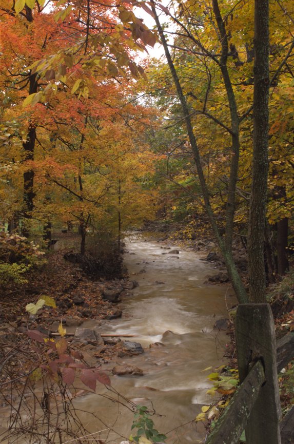 Favorites - Bernie's Photography