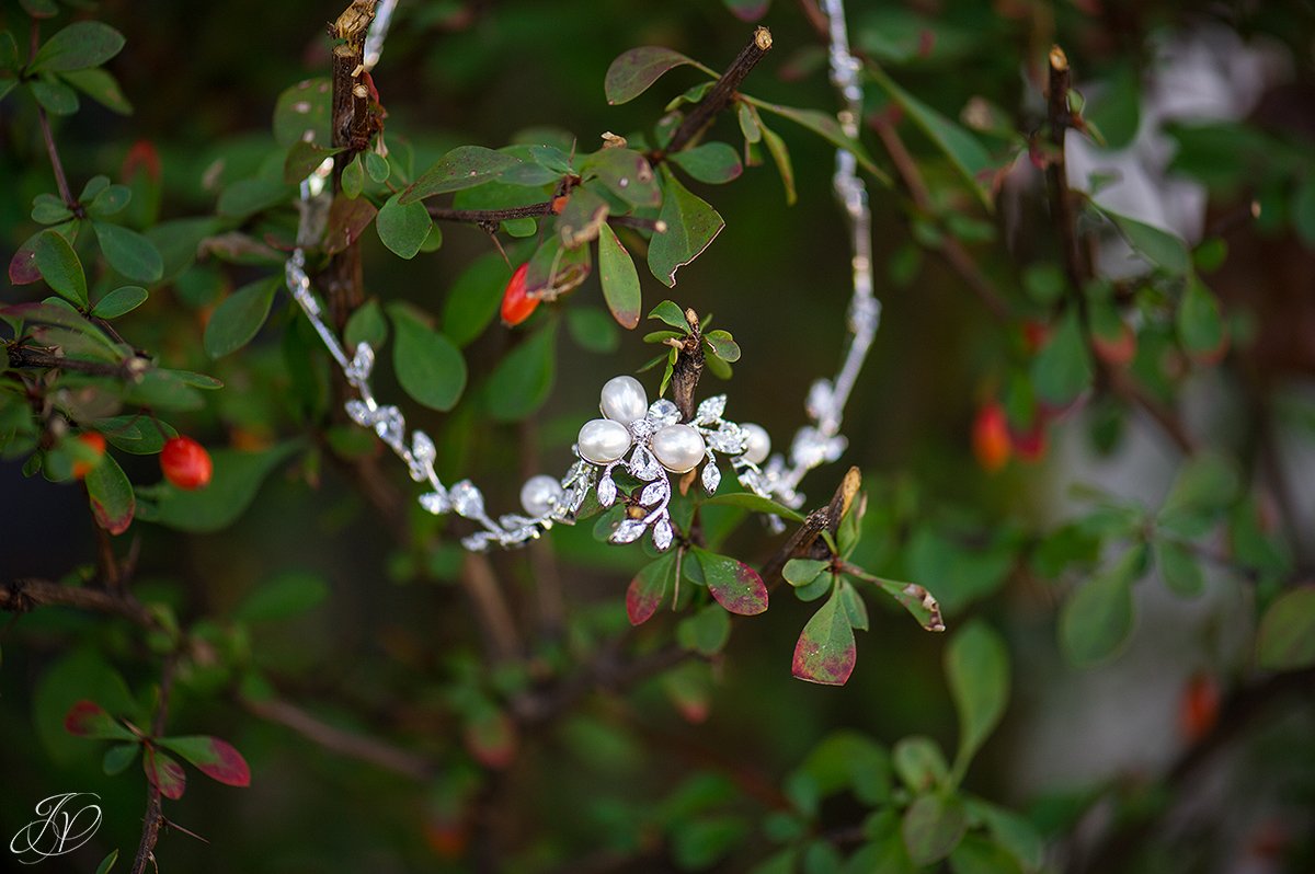 jessica painter photography albany wedding photographer