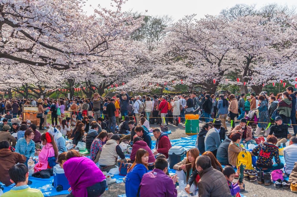 Happy Hanami Tokyo April 2017 - Blain Harasymiw Photography