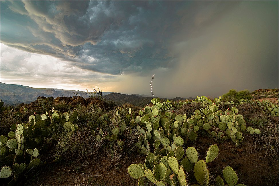 Arizona Monsoon Photography Workshops | Arizona Monsoon Photography Tours