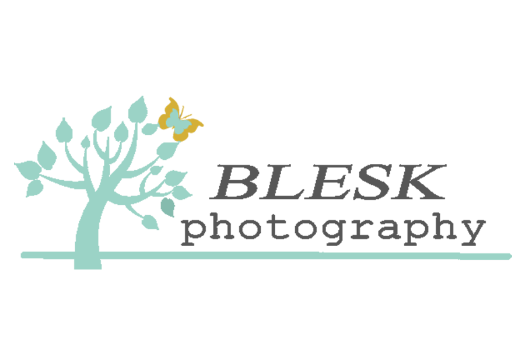 Blesk Photography Logo