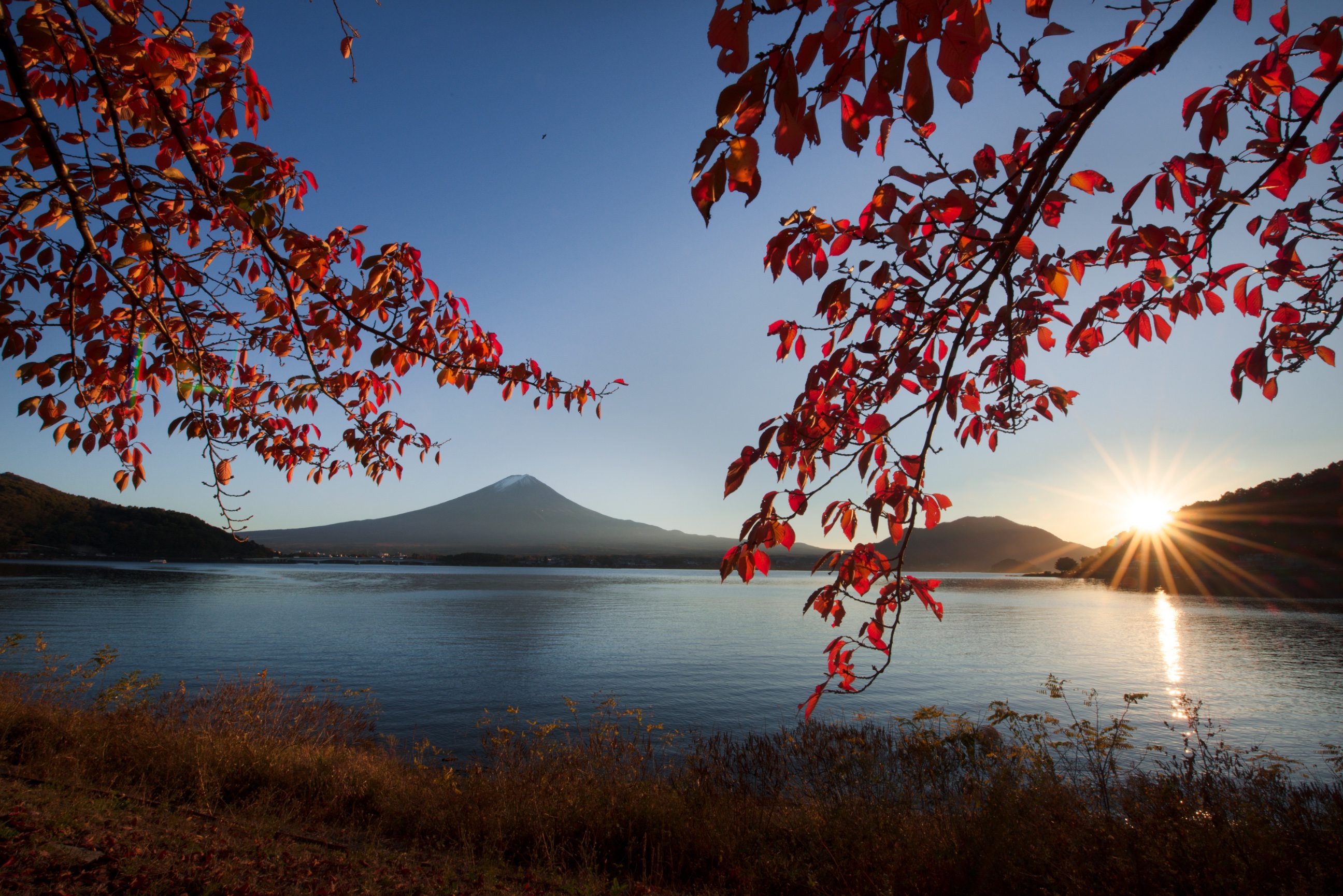 November 7 - 14 Mount Fuji Autumn Leaves UNESCO - - Blain Harasymiw ...