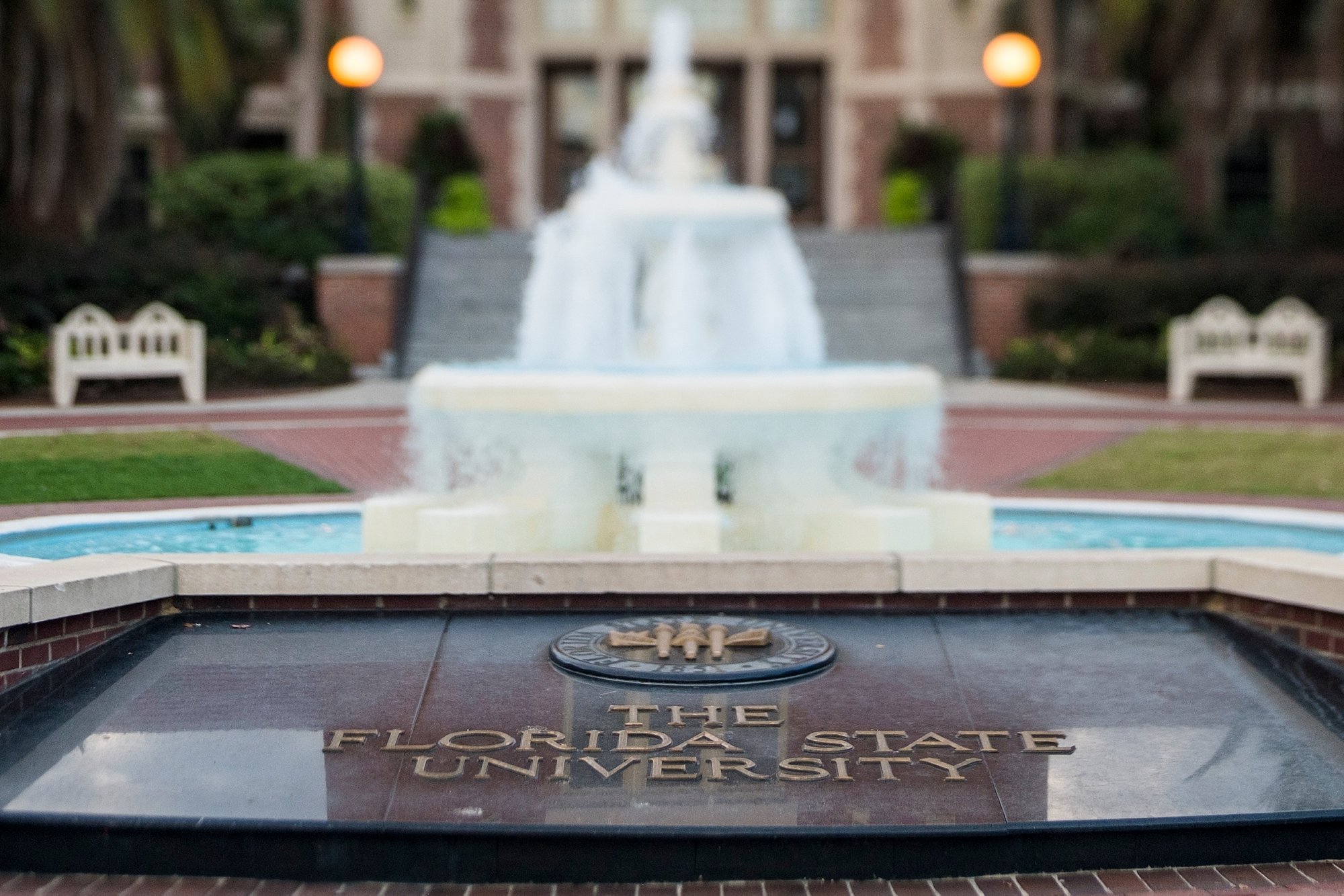FLORIDA STATE UNIVERSITY ENGLISH MAJOR visual data 4