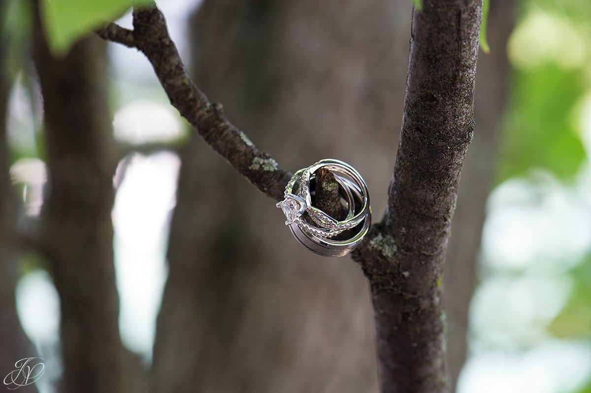 gorgeous wedding rings jessica painter photography