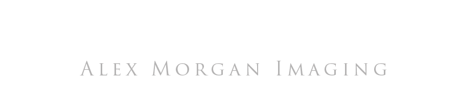 ALEX MORGAN IMAGING Logo