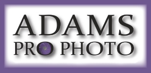 Adams Pro Photo Logo