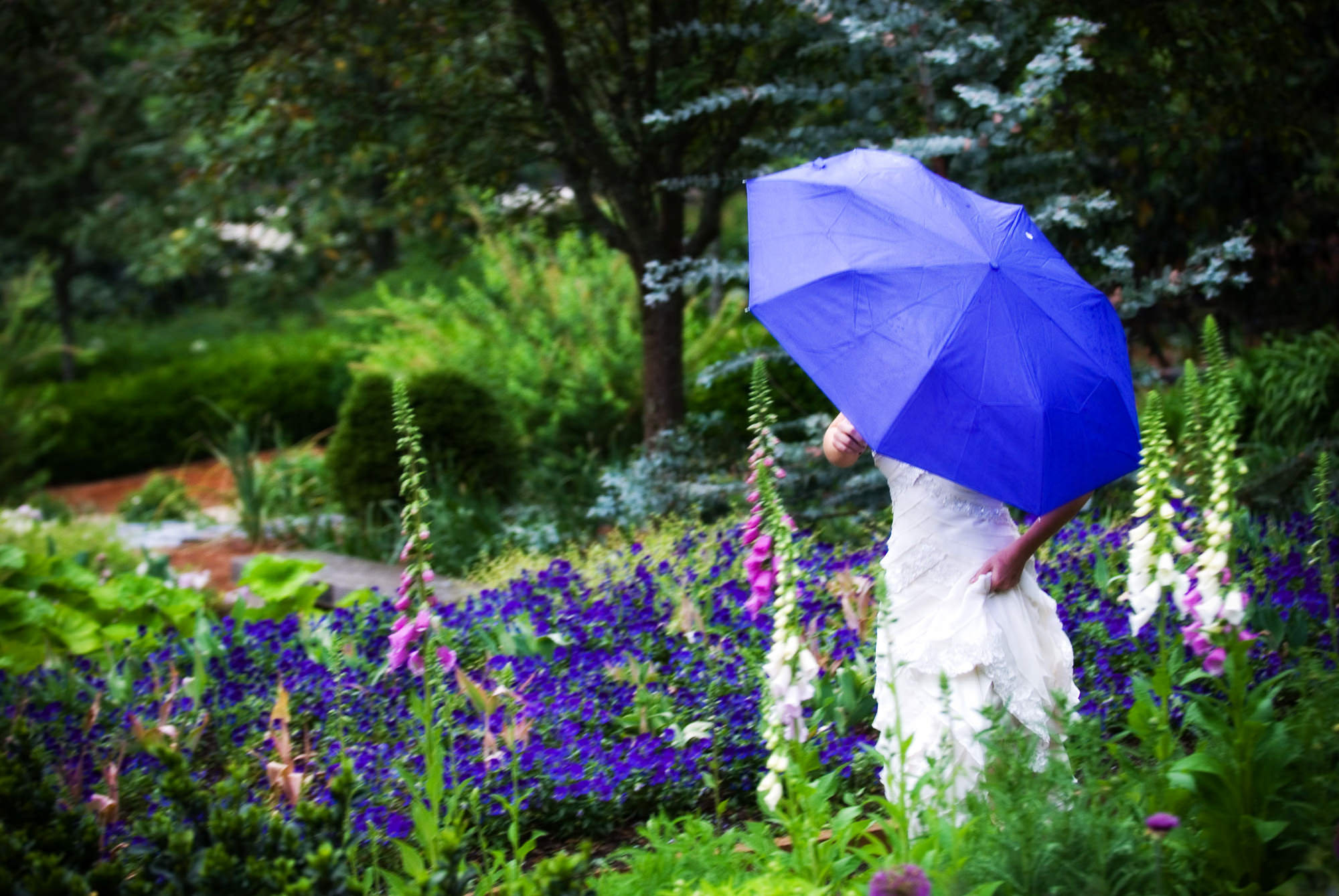 5 Fast Facts About Photos and Weather Walters & Walters