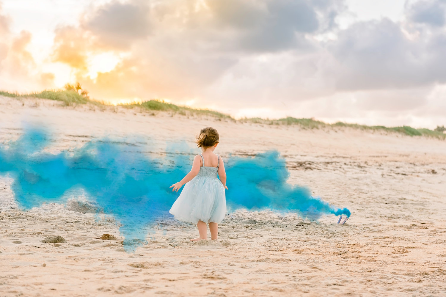 blue smoke gender reveal, smoke gender reveal, Florida gender reveal photographer, Ryaphotos