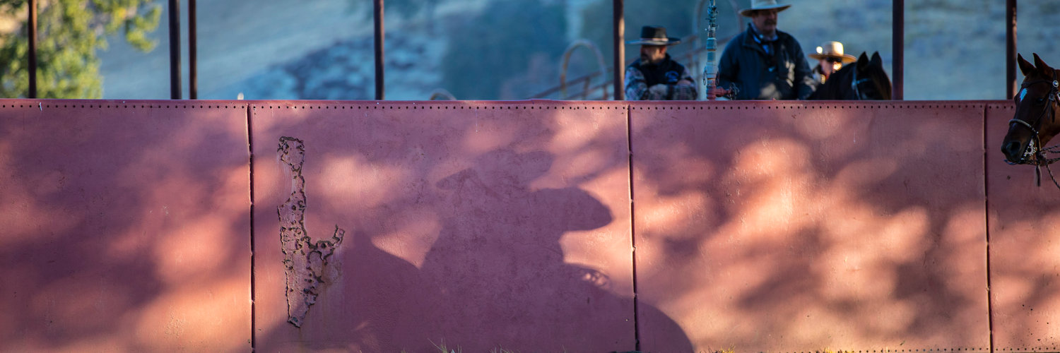 A polished interpretation of The Art of The Vaquero, Cowboy, and Cowgrils ..... for businesses seeking distinct visual content across Luna County and the Southwest.