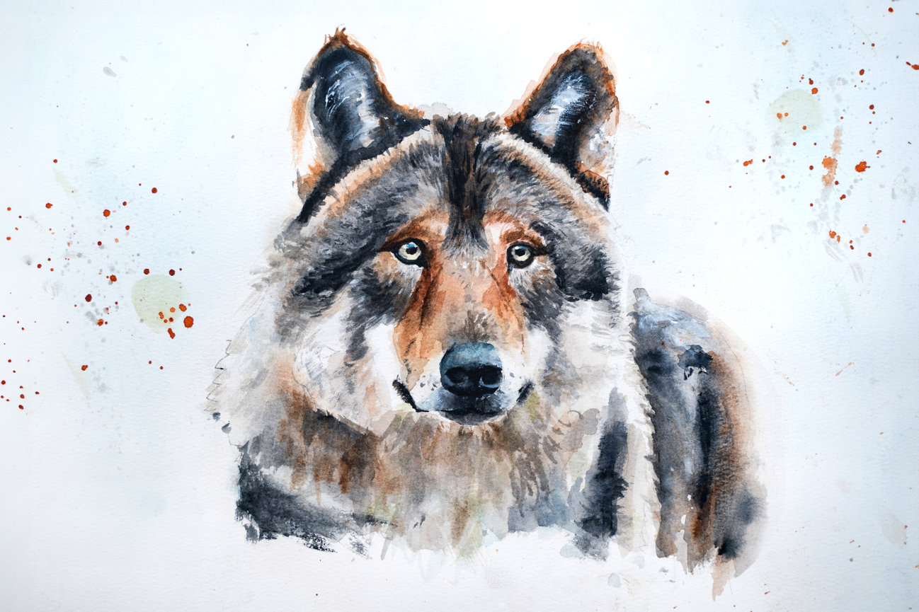 Levi's Online Art Store - Levi's Art
