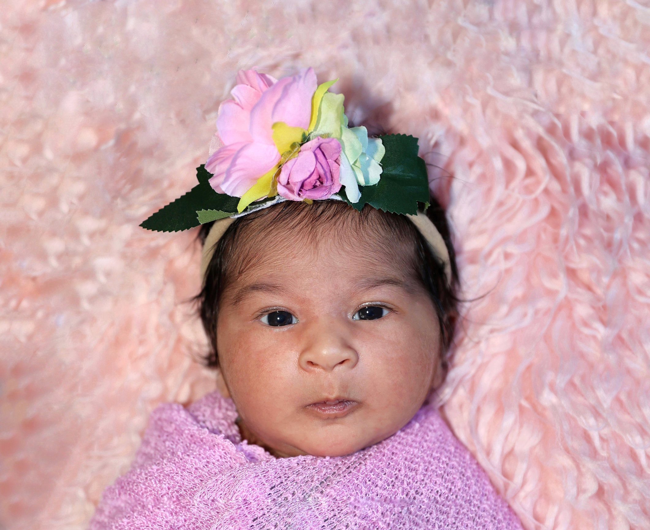 newborn-session-of-a-baby-girl-basu-photography-services