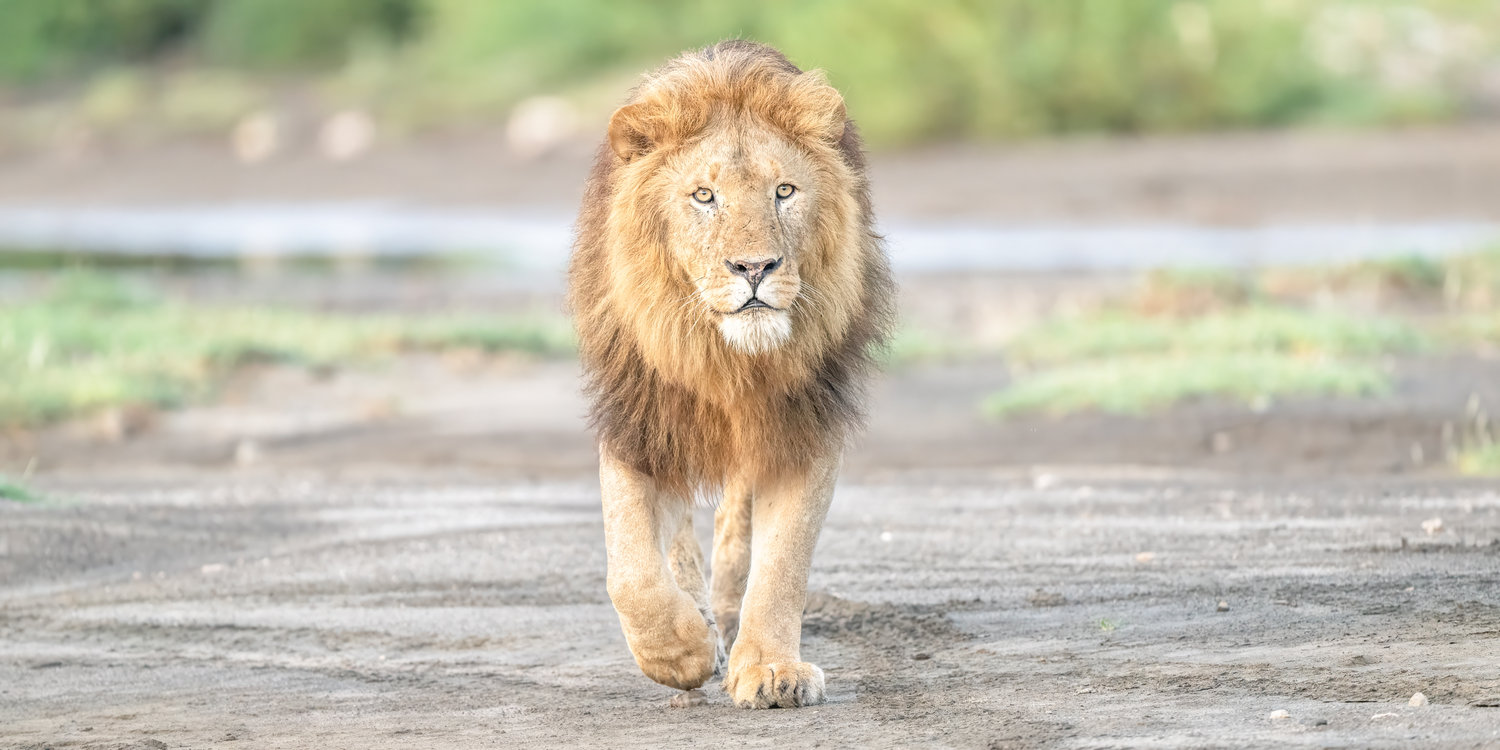 Wildlife & Landscape Photography Image Gallery | LeAnn Stamper
