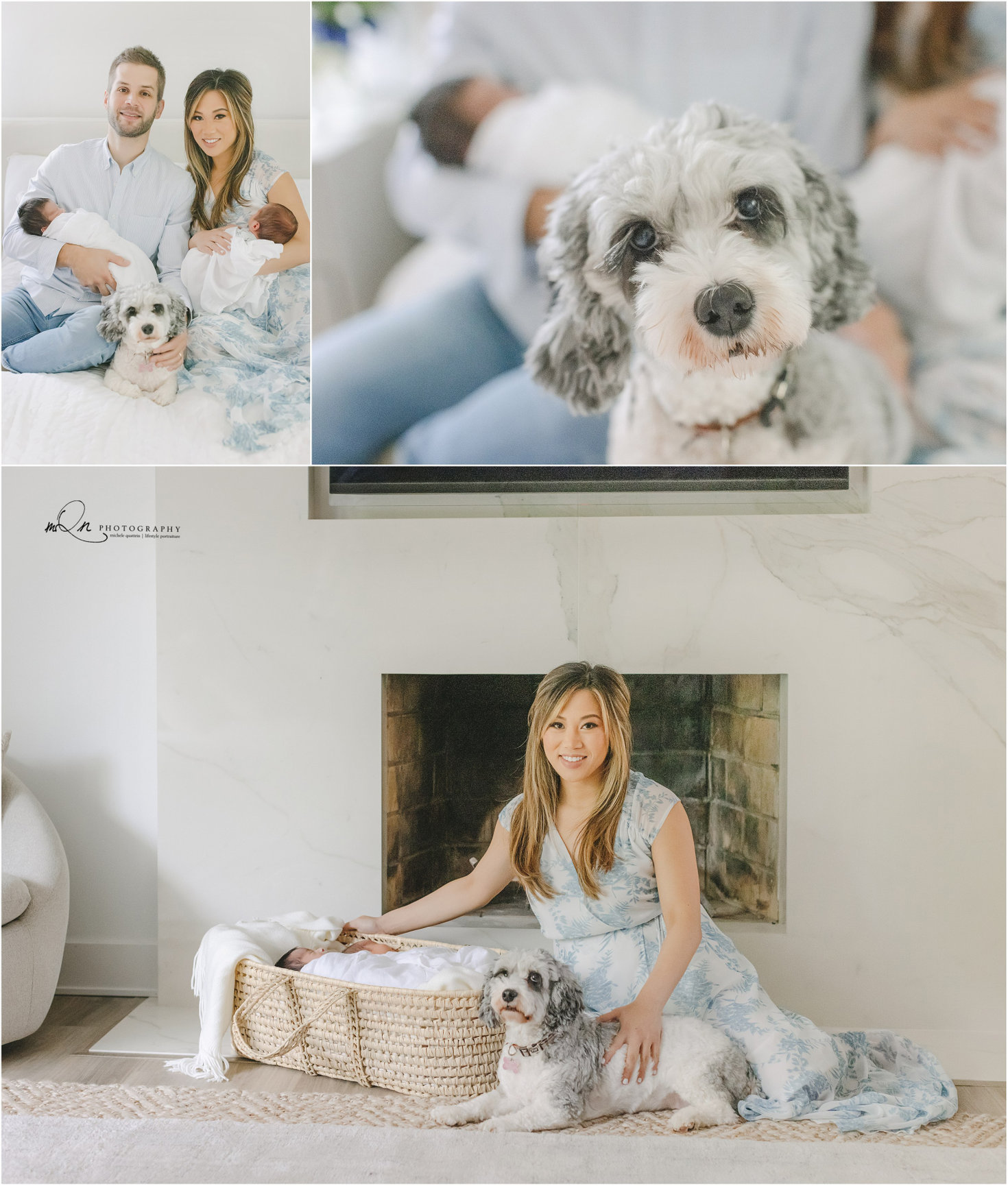 Commonly Asked Questions about Pet Photography or Bringing your