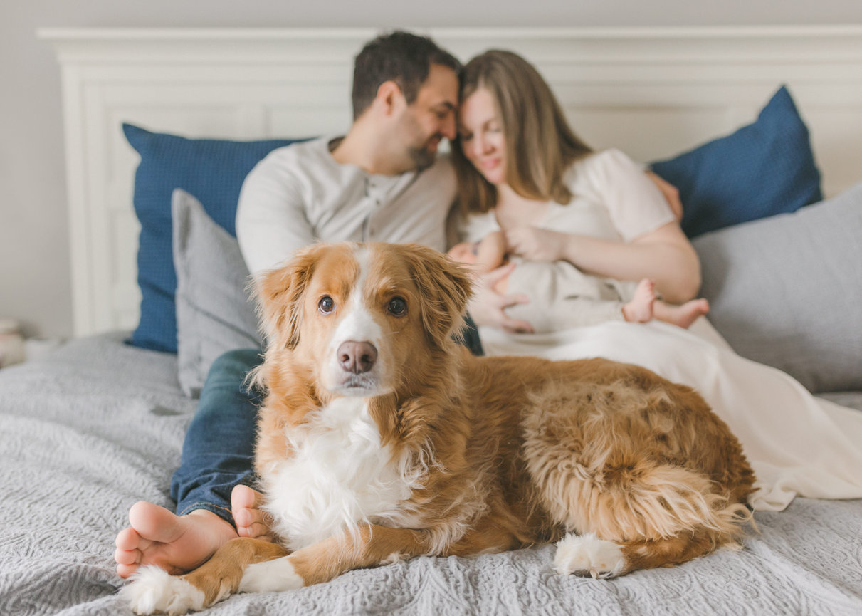 A couple sits together on a bed with a newborn, while a dog lies in the foreground, creating a cozy family moment.