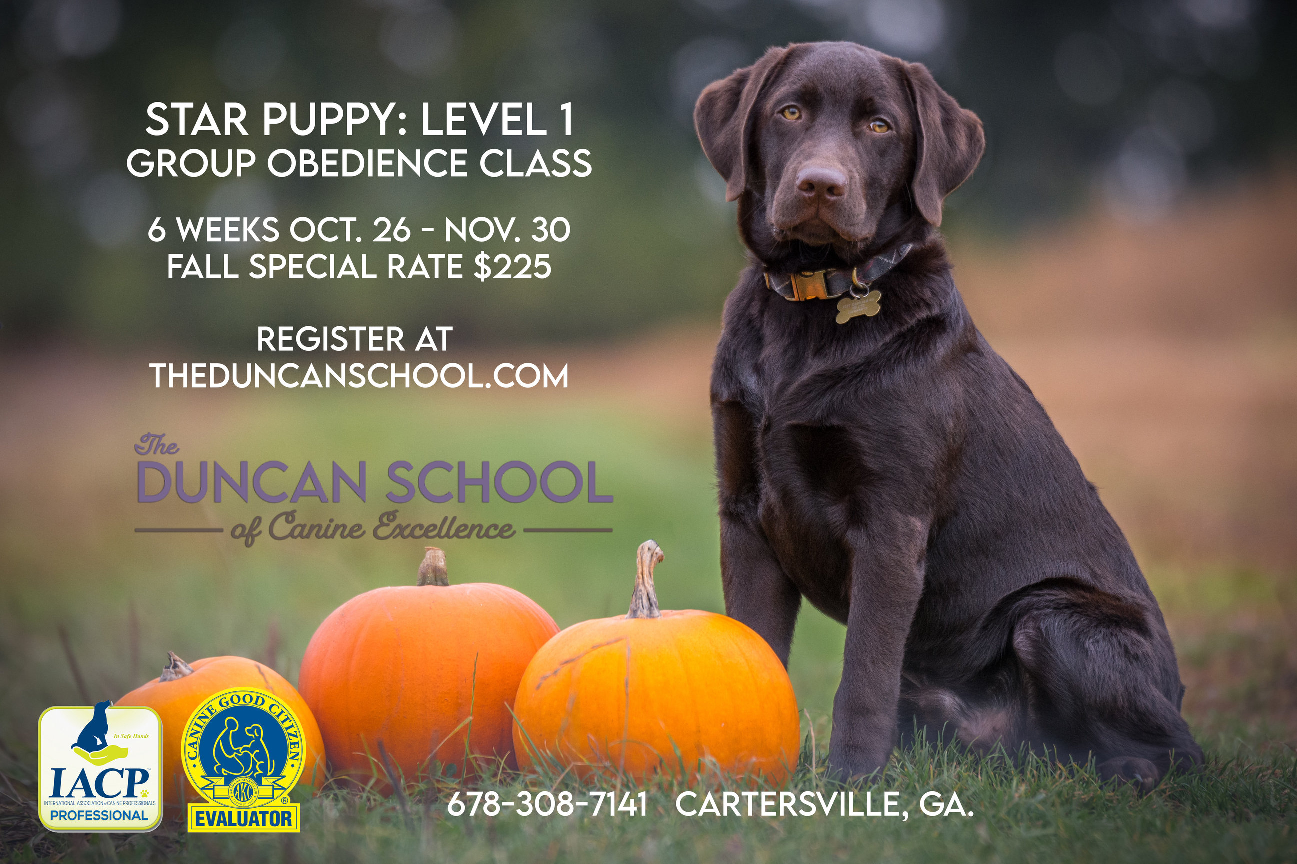Home The Duncan School of Canine Excellence
