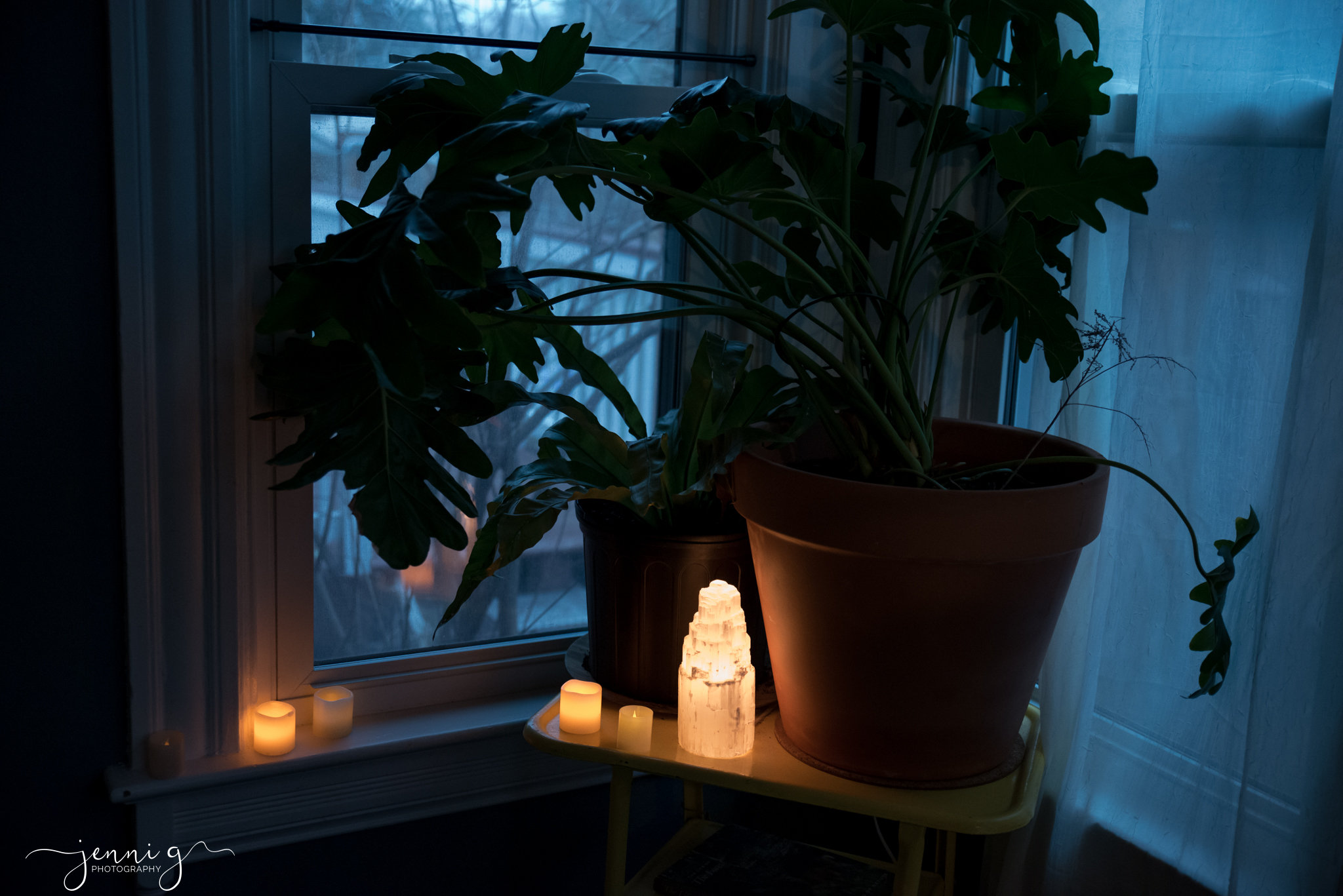 How a La Crosse WI Home Birth with a Midwife Can Transform Your Birth