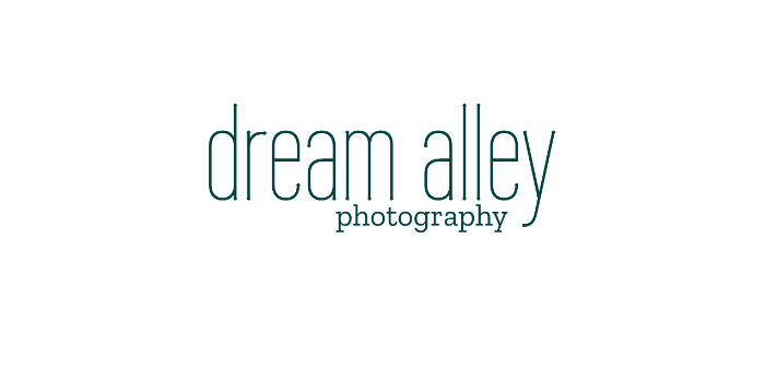Dream Alley Photography Logo