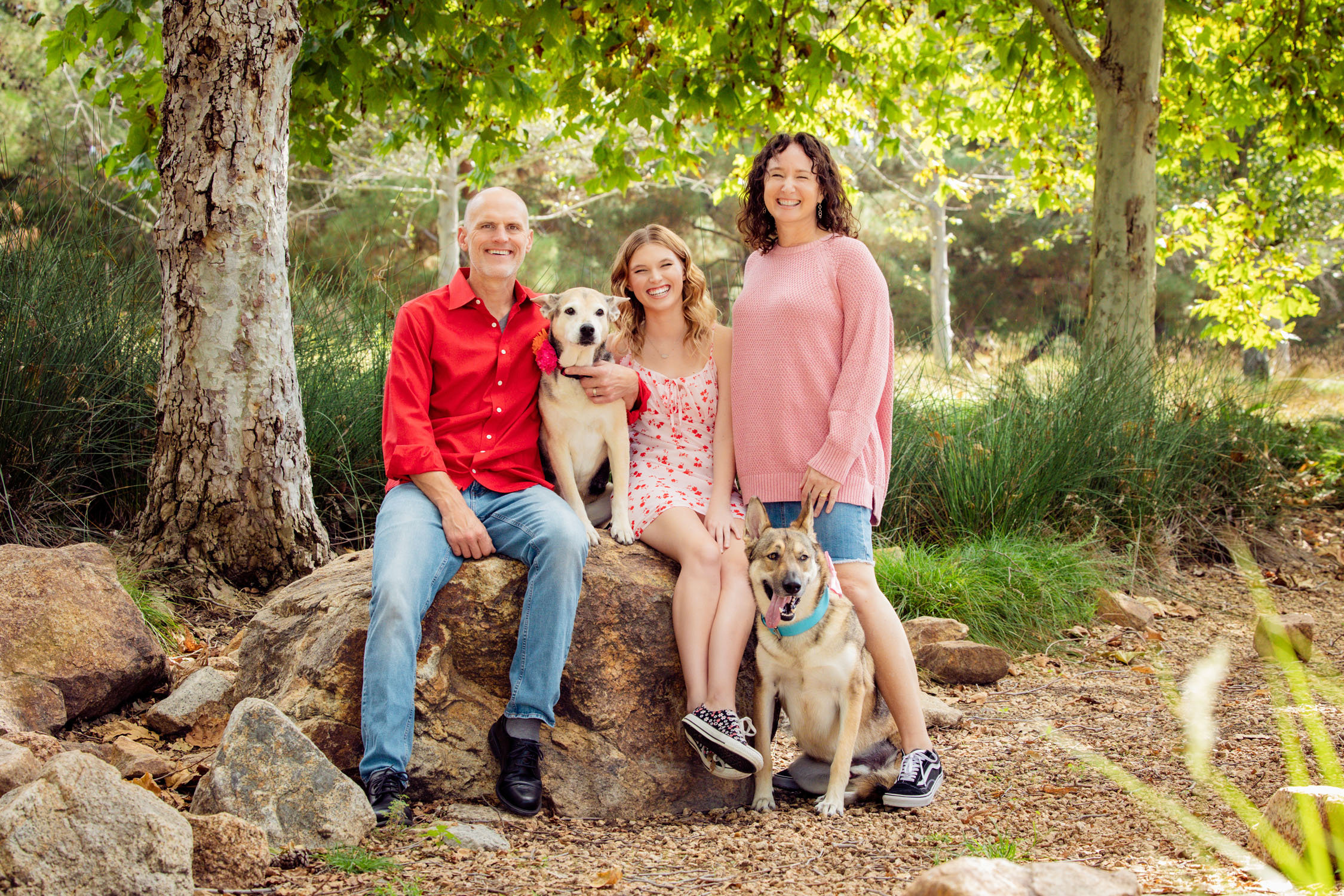 Family mini session for holiday cards