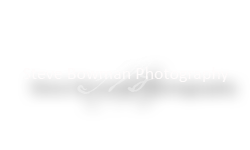 Steve Bowman Photography Logo