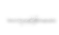 Steve Bowman Photography