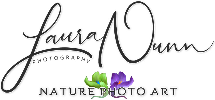 Laura L Nunn Logo