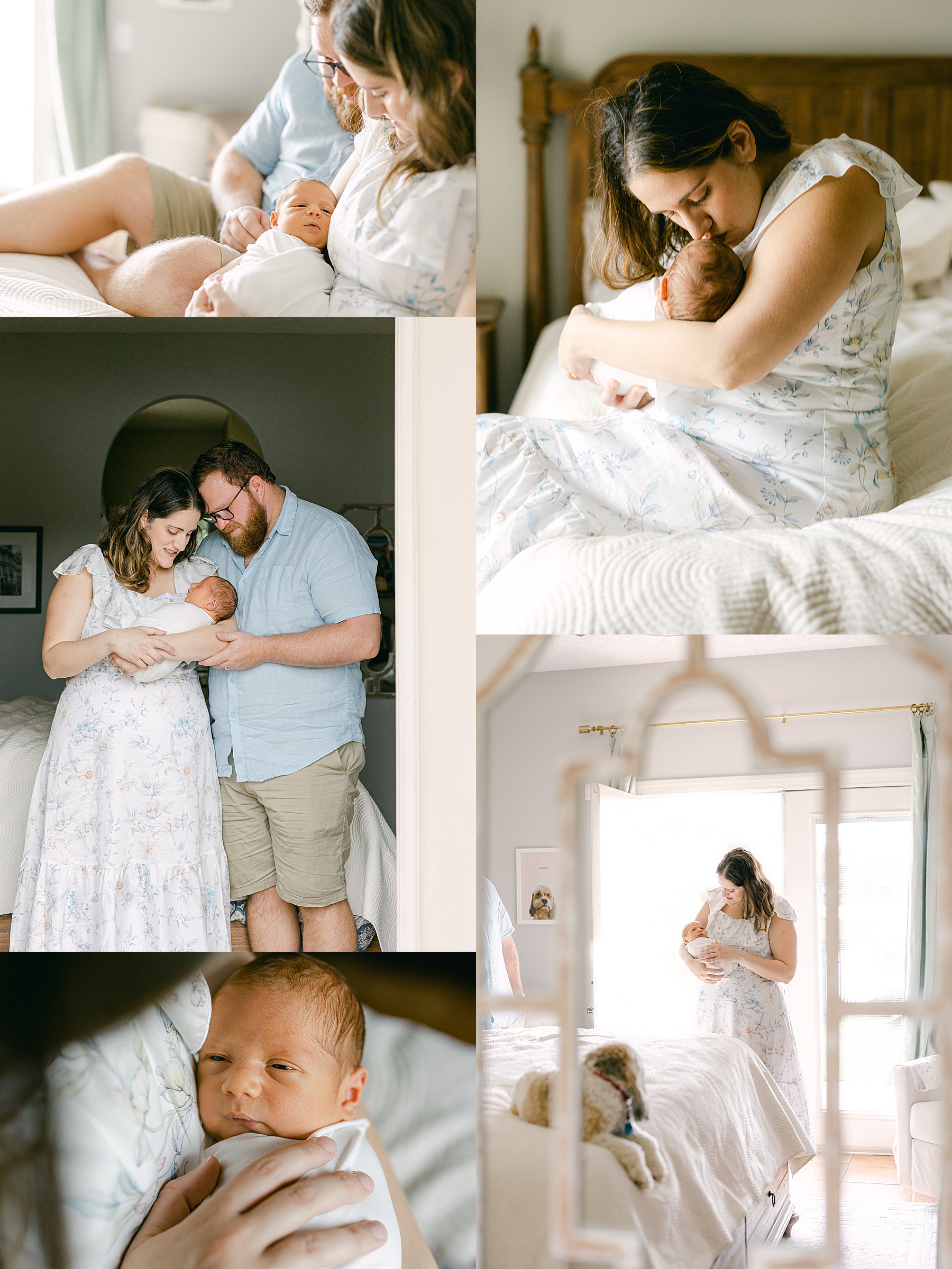 photo collage of a series from an in-home newborn session for baby boy