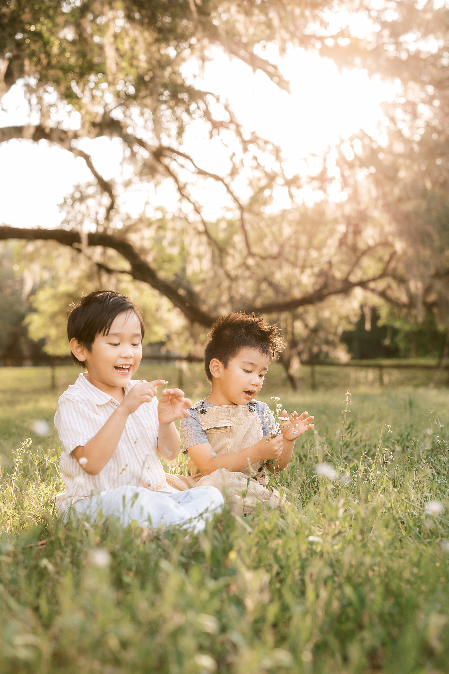 two little boys sitting in a flower field in the grass in Alachua, Florida