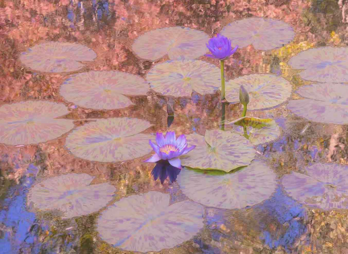 SATURATED PHOTO MARKET - Rob Strain Fine Art Photography & Workshops