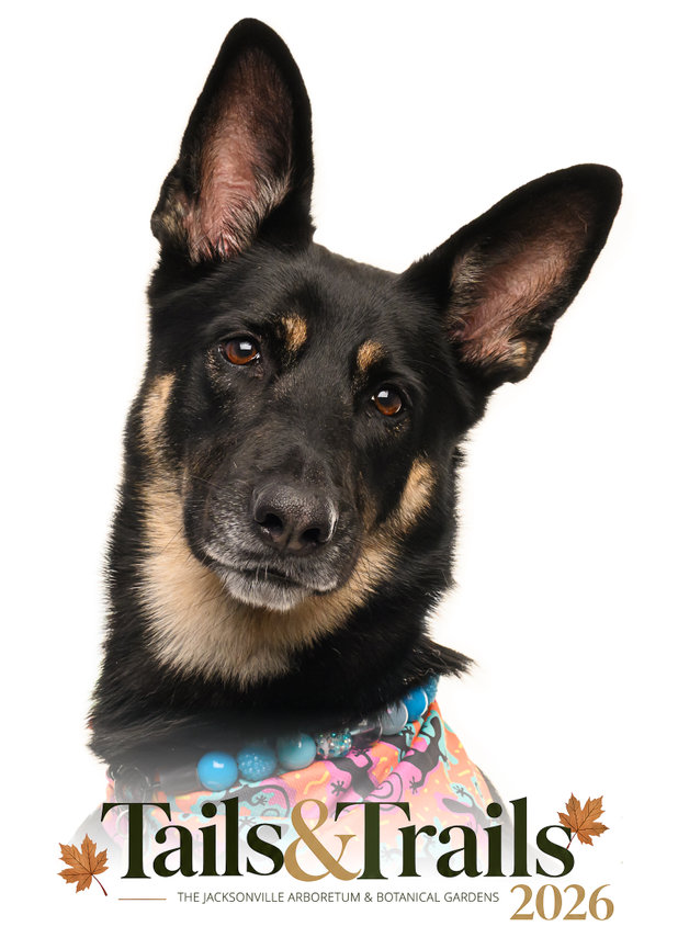 Tails and Trails 2026 dog portrait