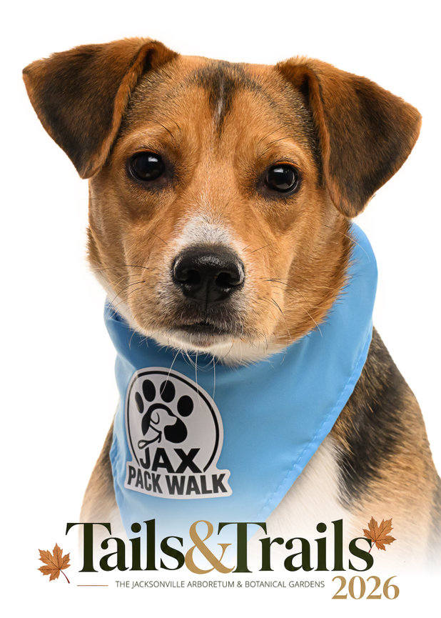 Tails and Trails 2026 dog portrait