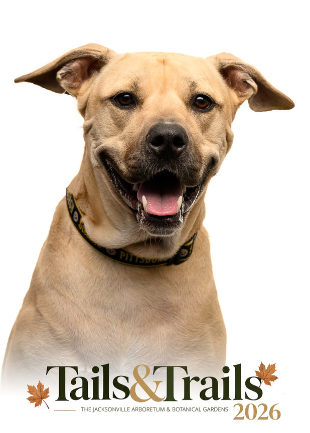 Tails and Trails 2026 dog portrait