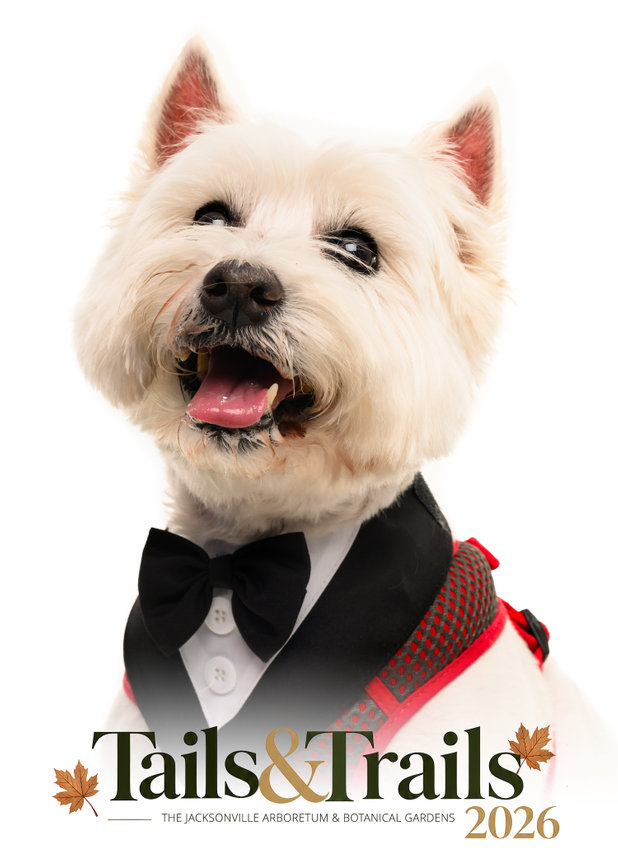 Tails and Trails 2026 dog portrait