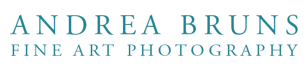 Andrea Bruns Photography Logo