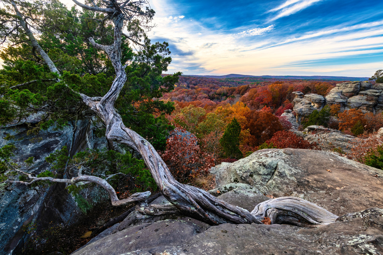 Scenic autumn mountain overlook with rocky cliffs, twisted tree branches, and colorful forest below