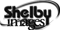 Shelby Images Logo