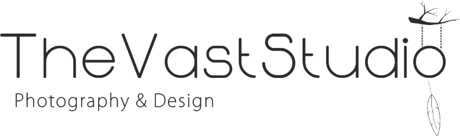 The Vast Studio Logo