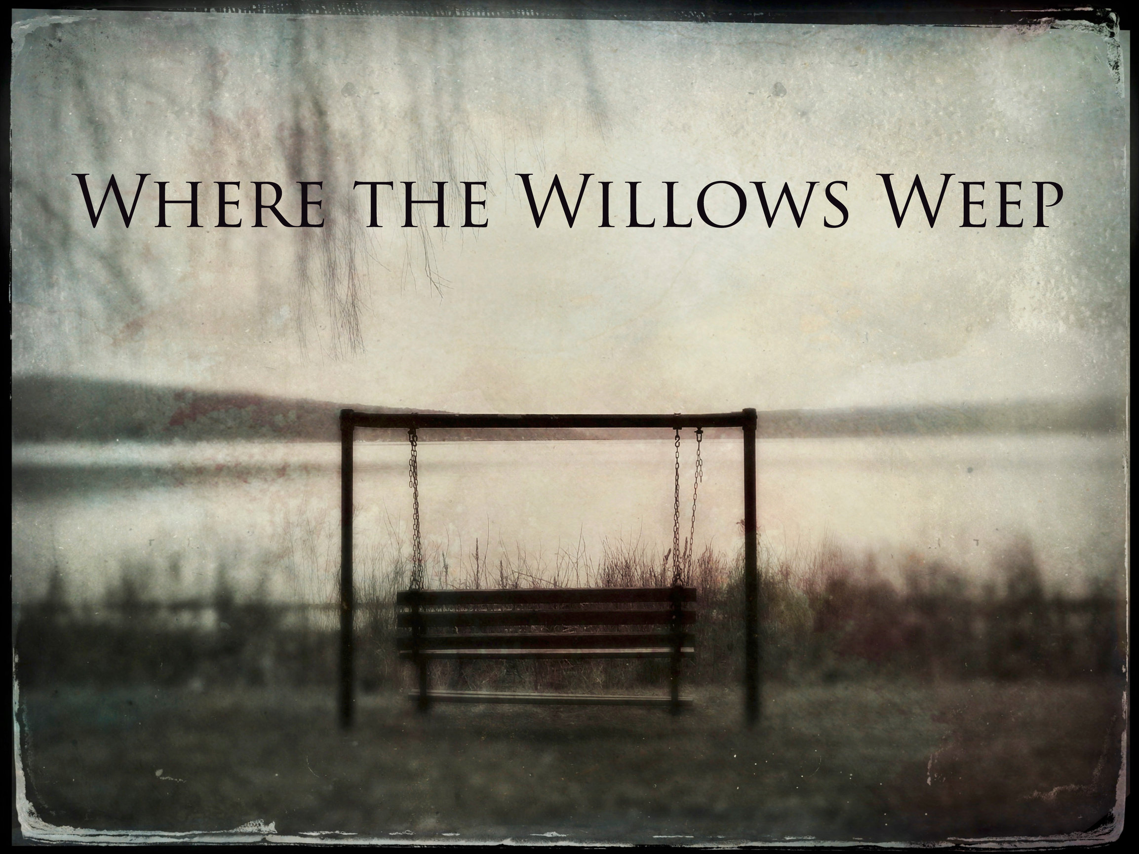 Where the Willows Weep Jari Poulin Photography