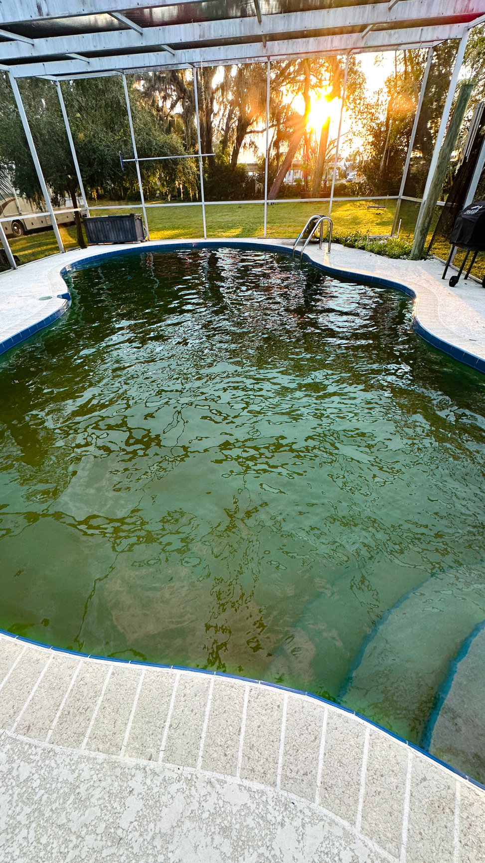 Green swimming pool before professional algae treatment by Playa Pool Pros