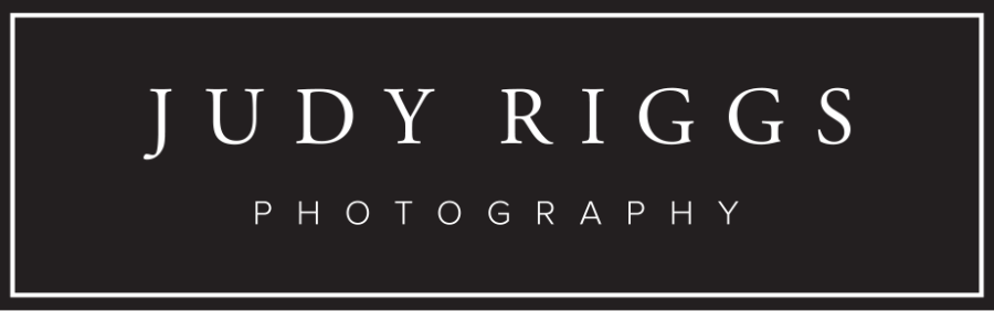 Judy Riggs Photography Logo