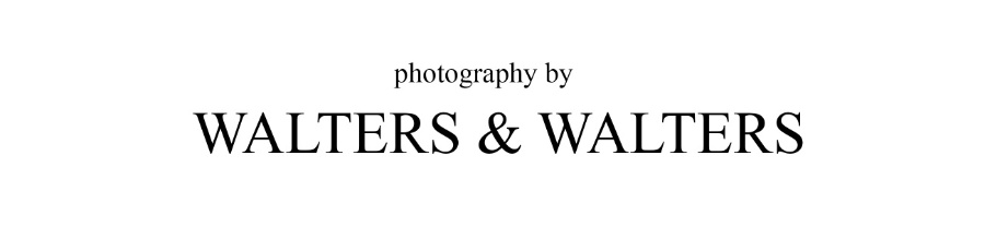 sample Logo