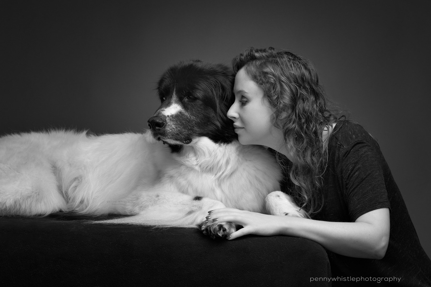 black and white photography of dogs