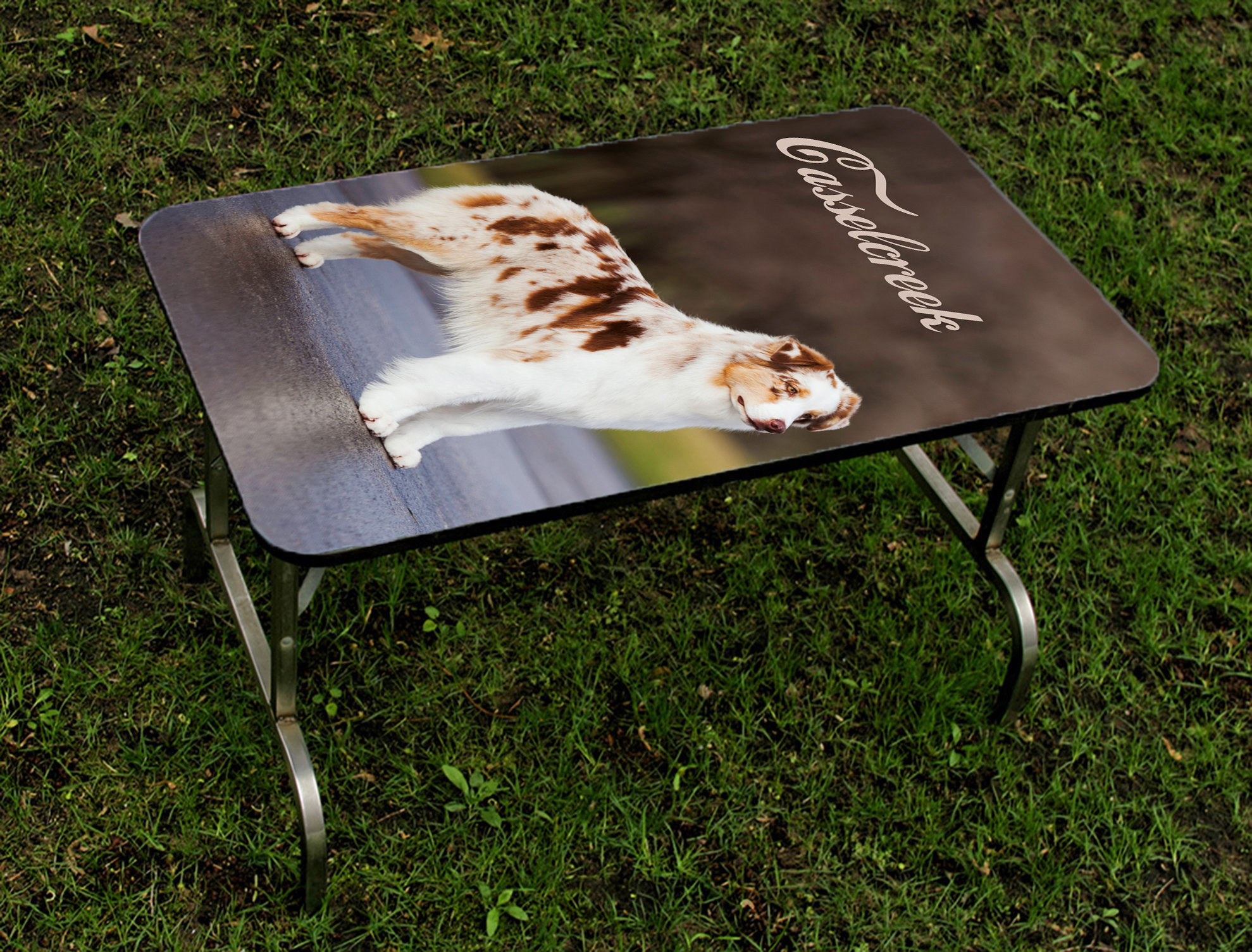 GROOMING TABLE TOPS Klinefelter's Gallery