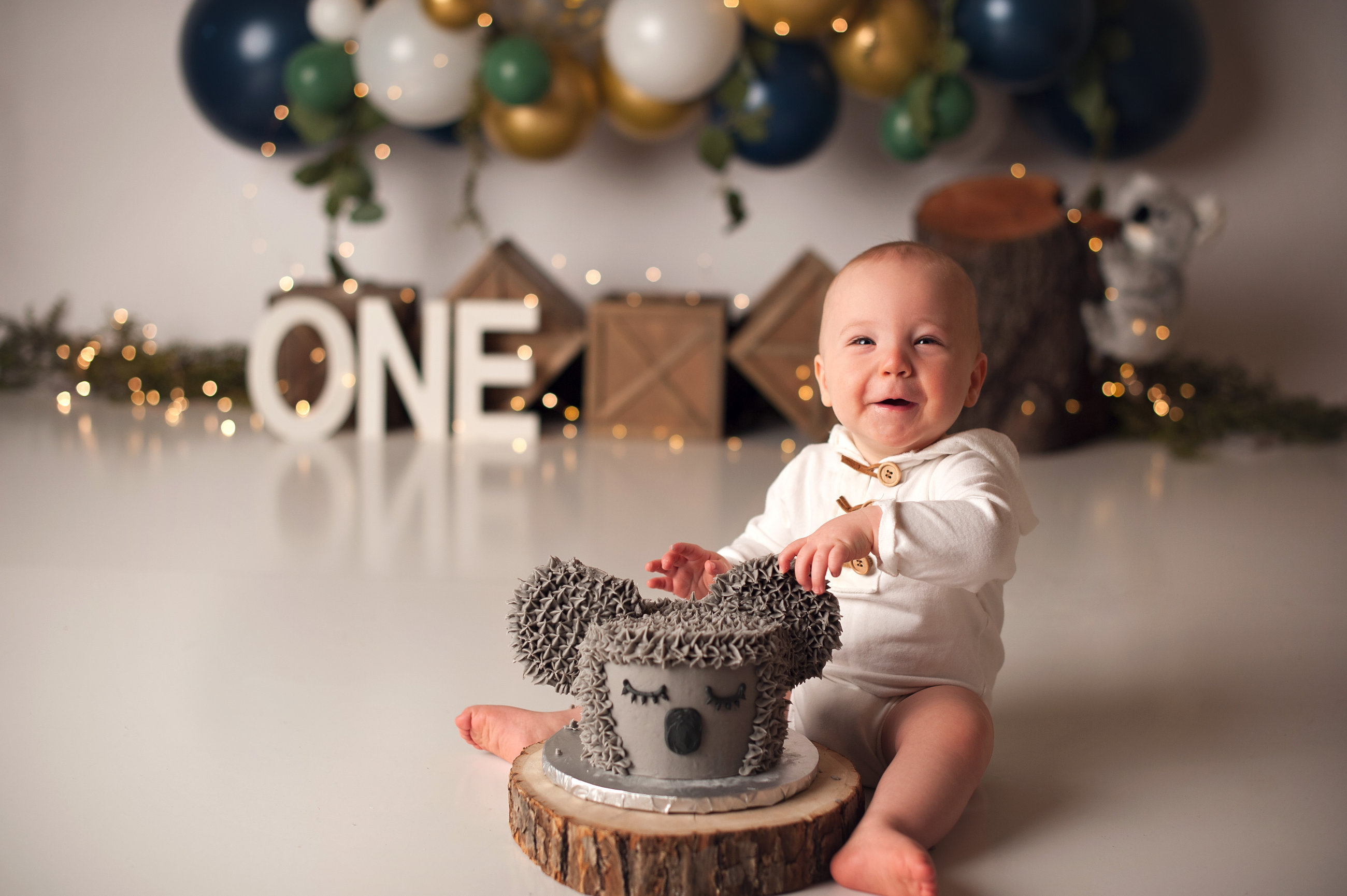 A Koala Cake Smash Session {Utah Cake Smash Photographer} - kristen ...