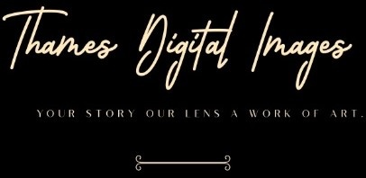 Thames Digital Images Logo