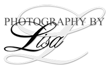 Lisa H Carter Logo