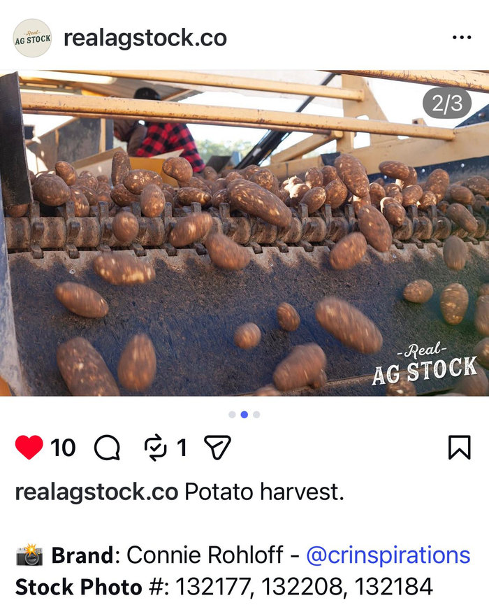 POTATIO