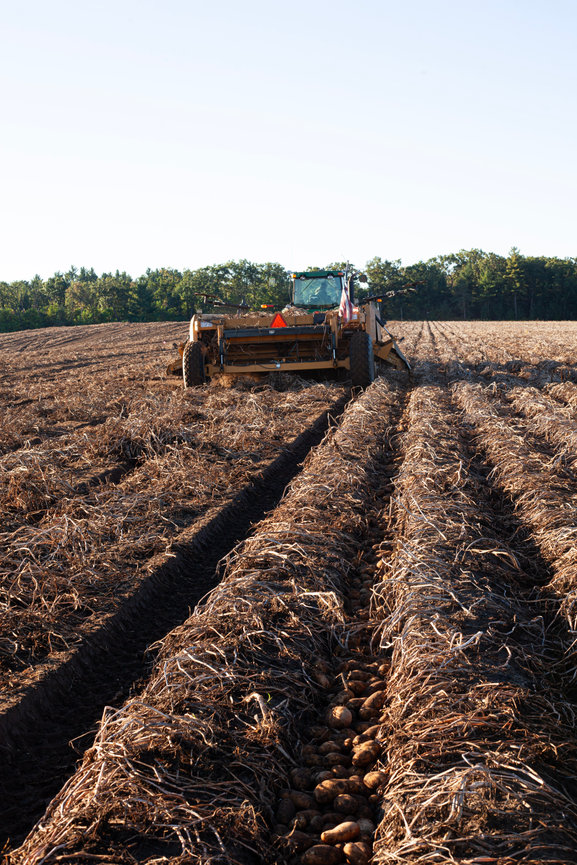 Tractor plowing a field with deep furrows under a clear sky